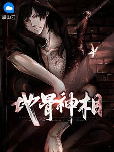 王無情梅如畫 封面