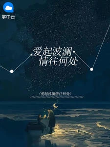 愛起波瀾情往何處 封面