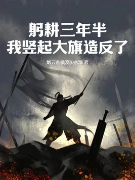 躬耕三年半,我豎起大旗造反了 封面
