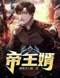 帝王婿 封面