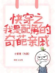 統啊,今天我的身份正常了嗎 封面