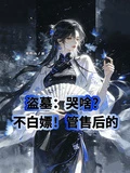 盜墓:哭啥?不白嫖!管售後的 封面